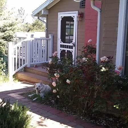 Blue Bird Cottage - Pet Friendly Джулиан Екстериор снимка