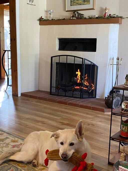 Blue Bird Cottage - Pet Friendly Джулиан Екстериор снимка