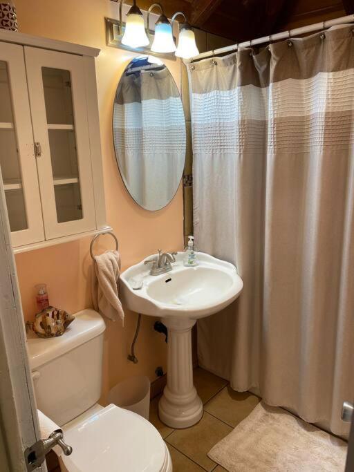 Blue Bird Cottage - Pet Friendly Джулиан Екстериор снимка