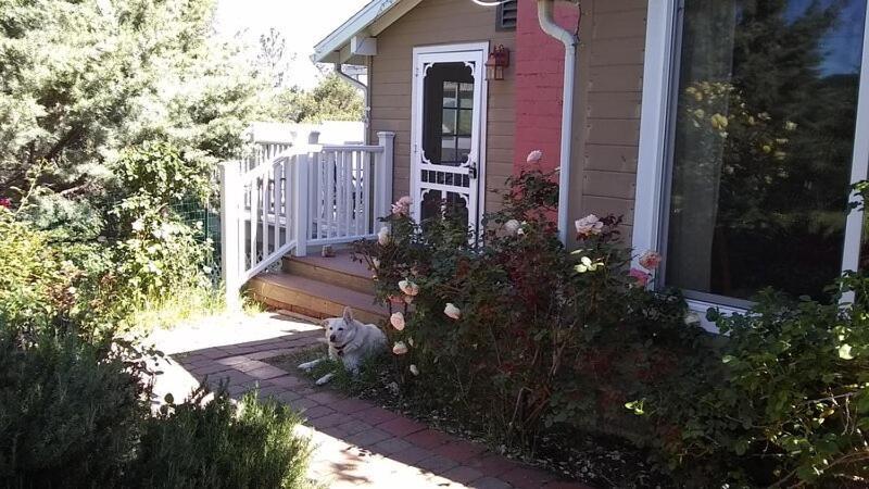 Blue Bird Cottage - Pet Friendly Джулиан Екстериор снимка